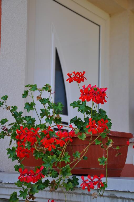 Apartments Villa Anka Opatija Chambre photo